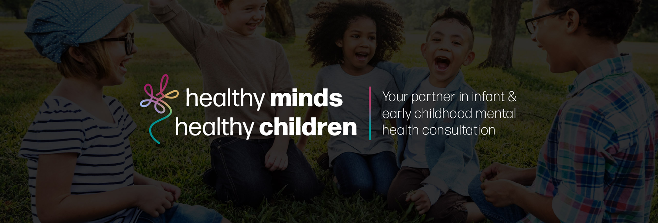 HMHC Logo on Web Site Section