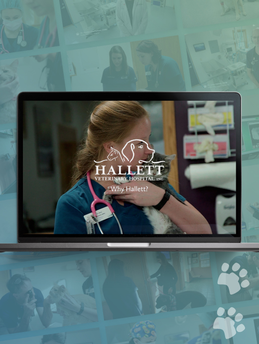 Hallett Vet Video Production by Ocreative
