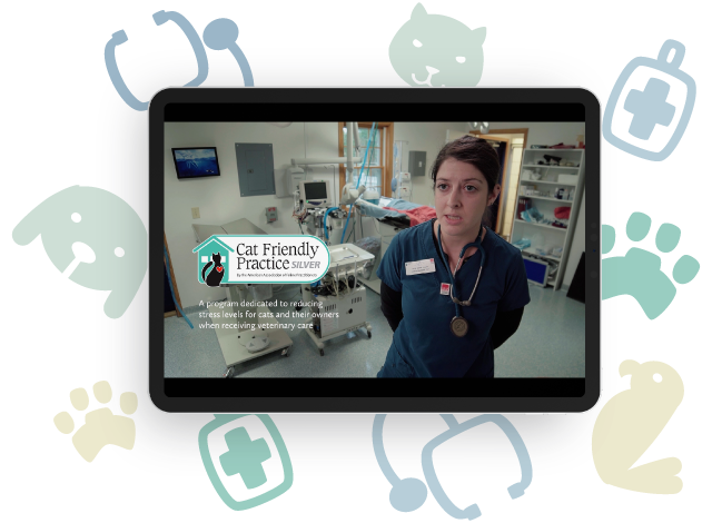 Video Displayed on a Tablet