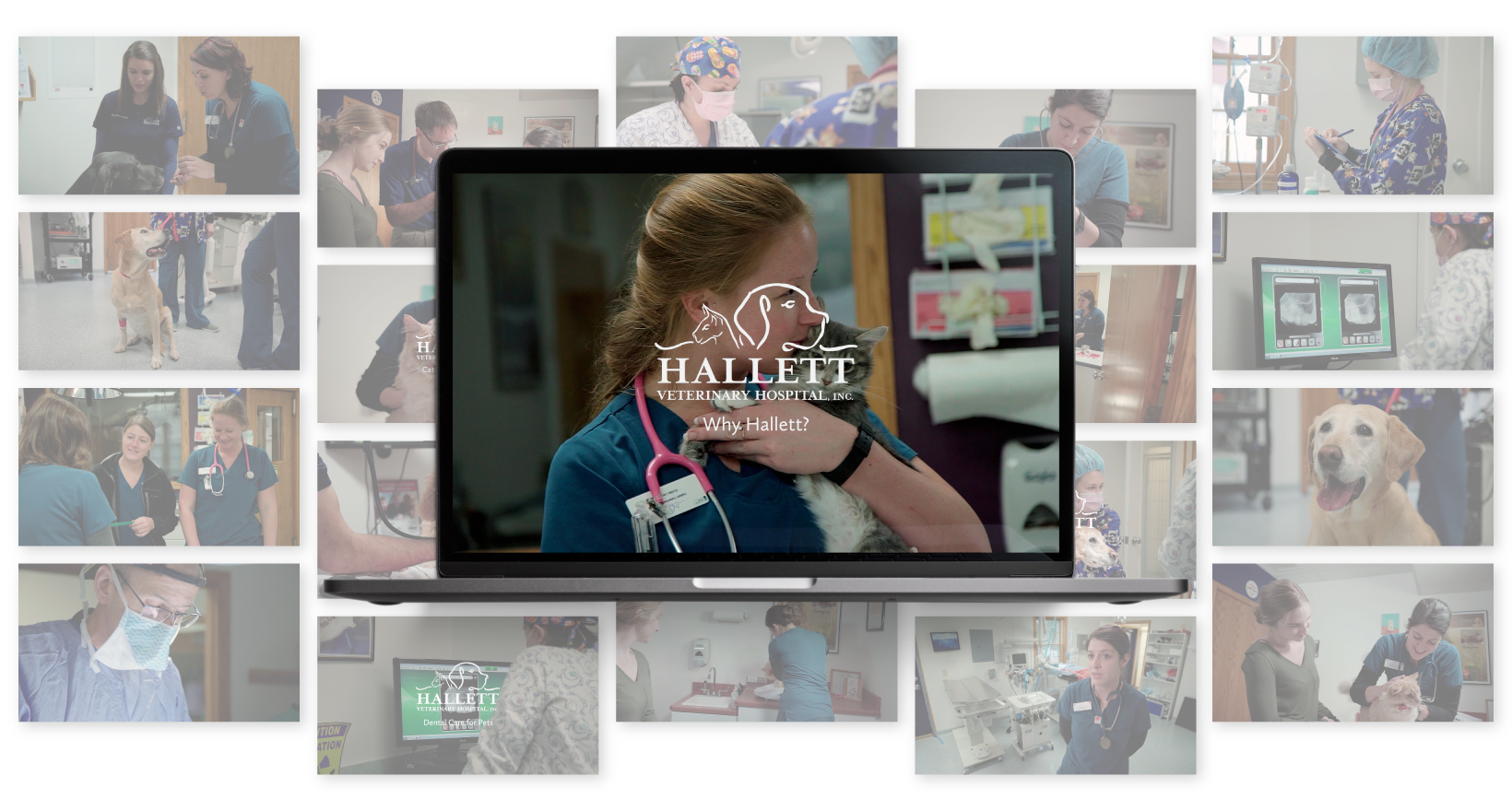 Hallett Veterinary Hospital Video on Laptop Display