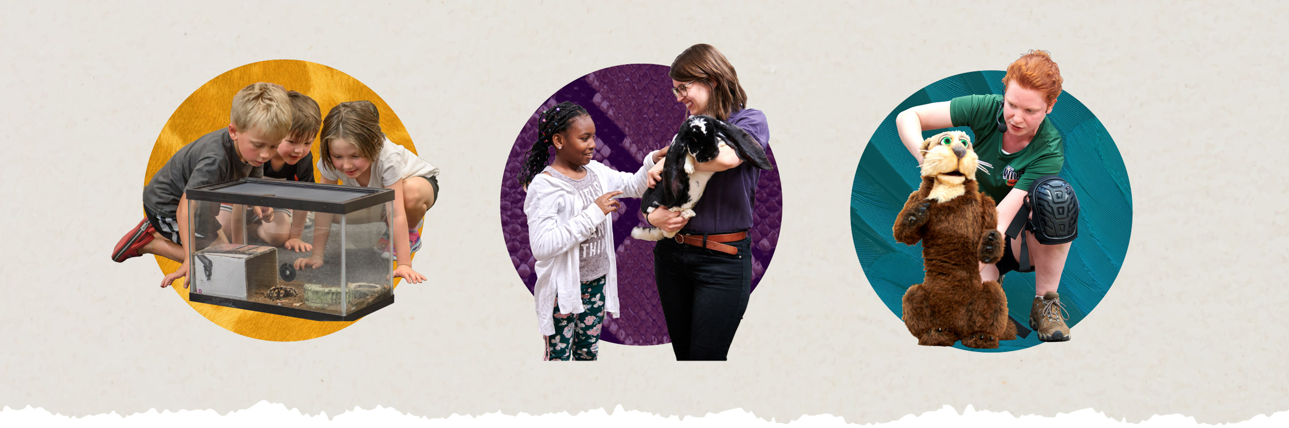 Zoo Society Custom Icon Collection