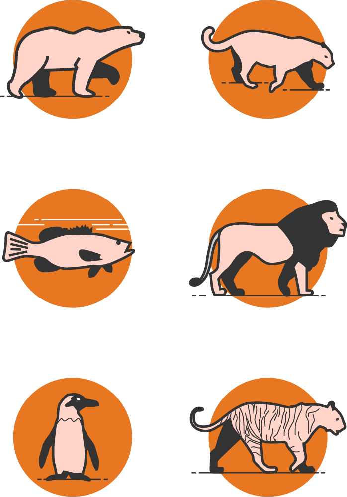 ZSM Custom Icons For Website